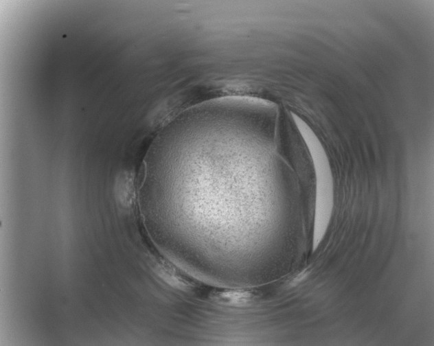 X0000071760478200607150007