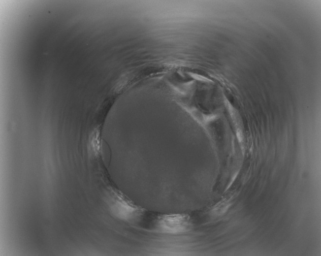 X0000071760479200607150007