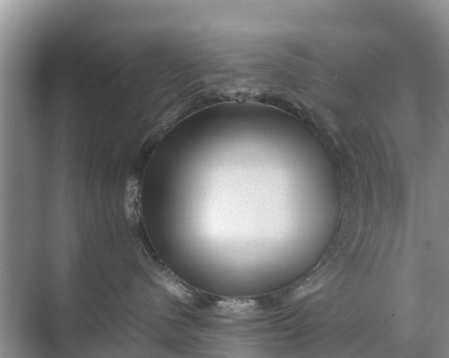 X0000071760480200607150007