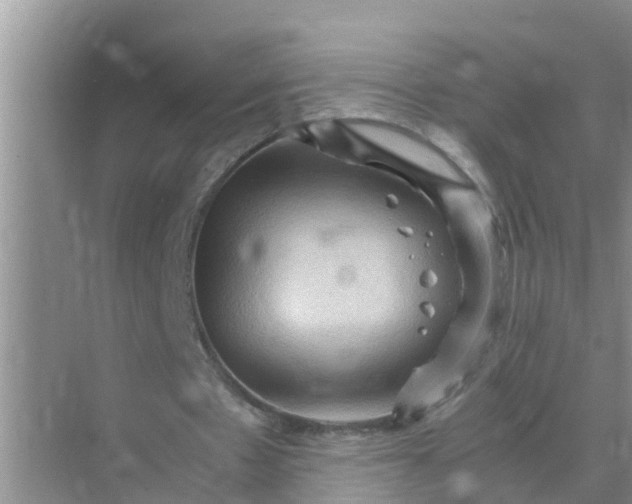 X0000071760481200607150006