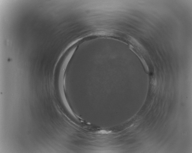 X0000071760484200607150006