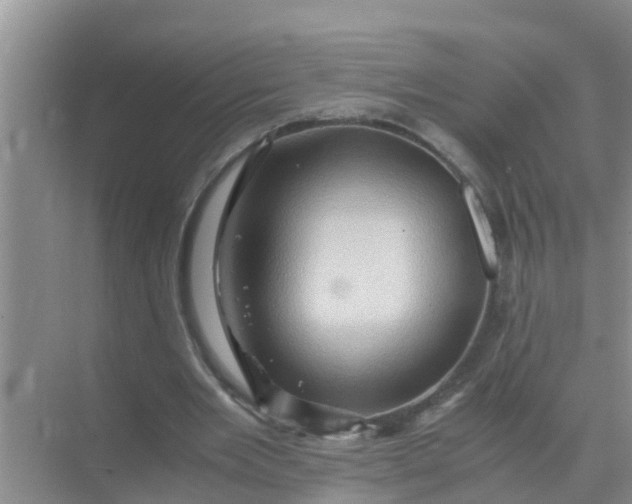 X0000071760485200607150006