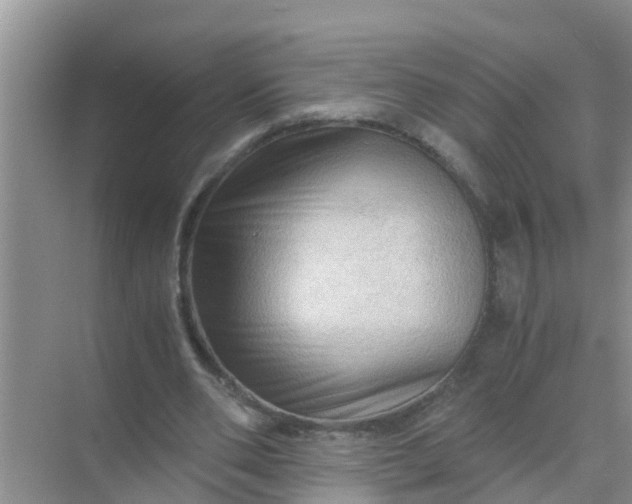 X0000071760486200607150006