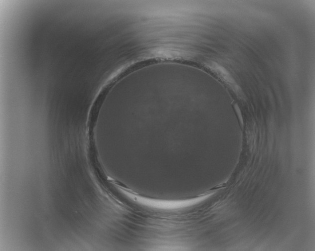 X0000071760488200607150006