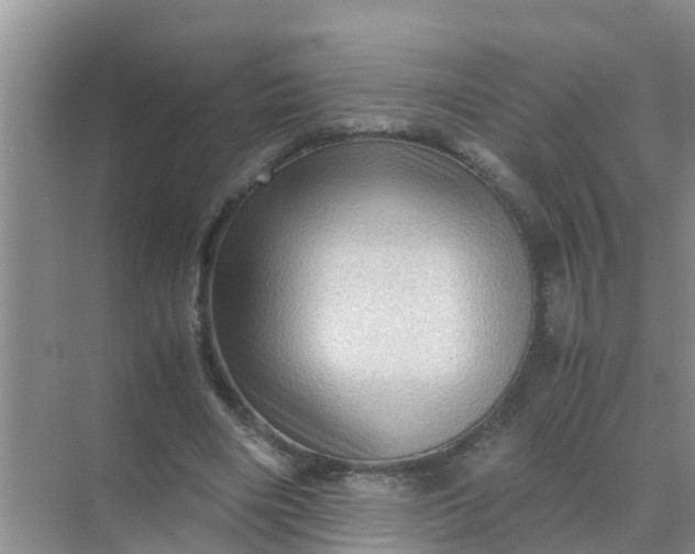 X0000071760490200607150006