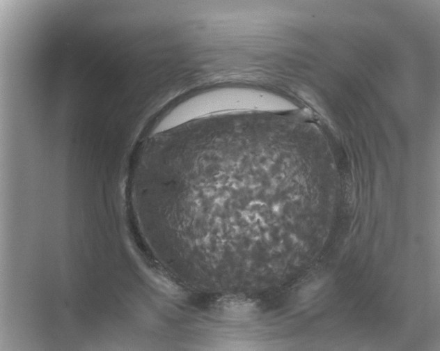 X0000071760491200607150006