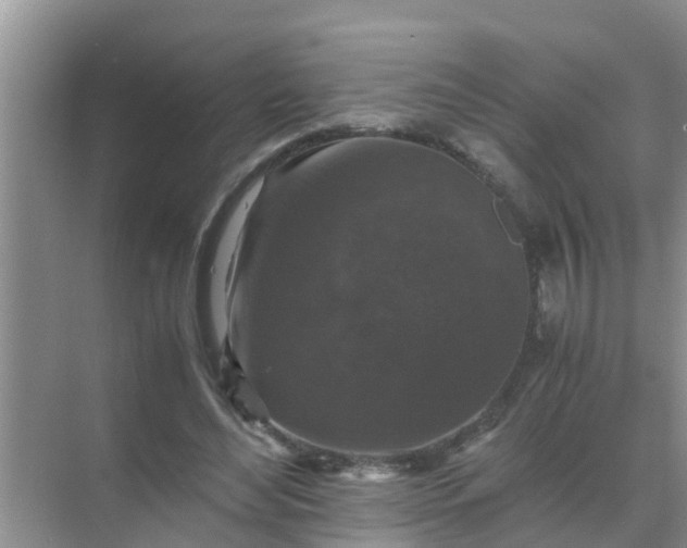 X0000071760492200607150006