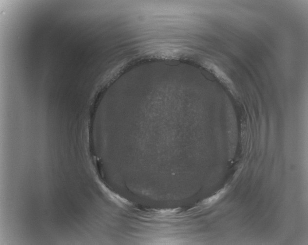 X0000071760493200607150006