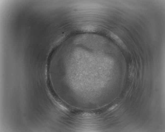 X0000071760494200607150006