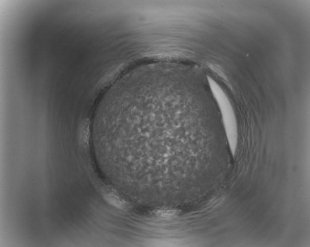 X0000071760495200607150006