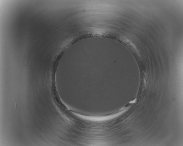 X0000071760496200607150006