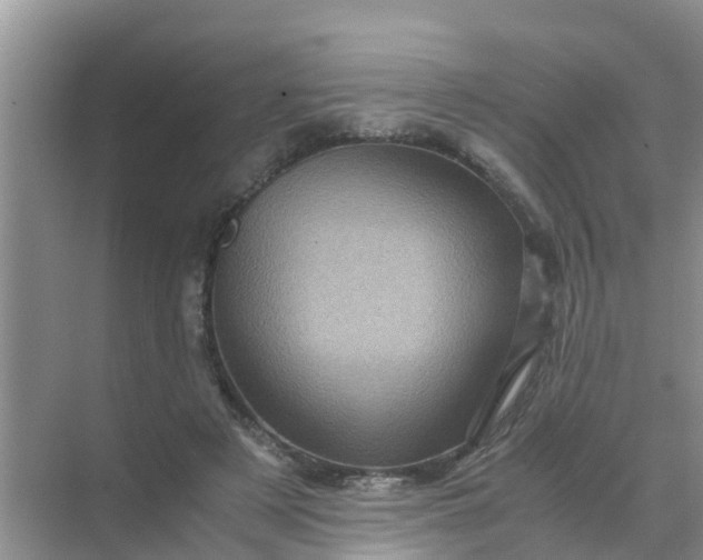 X0000071760497200607150006