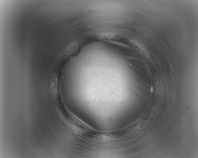 X0000071760498200607150006