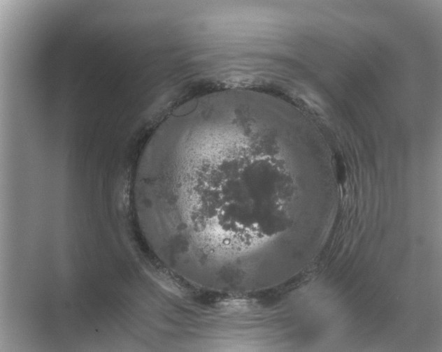 X0000071760499200607150006