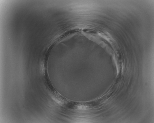 X0000071760500200607150006