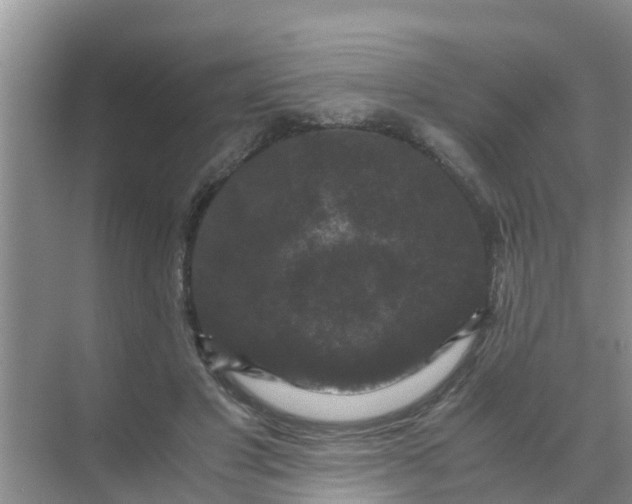 X0000071760501200607150006