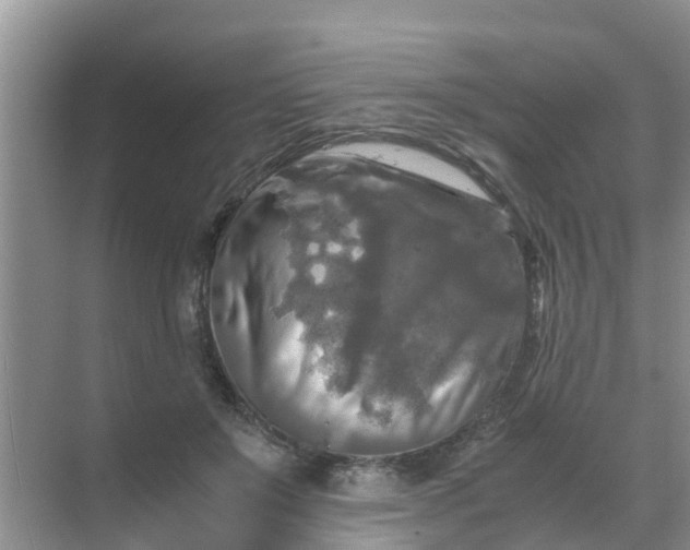 X0000071760503200607150006