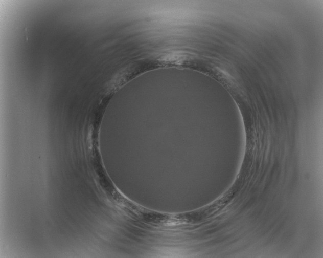 X0000071760504200607150006