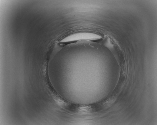 X0000071760505200607150006