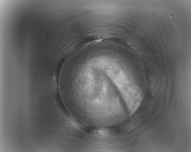 X0000071760506200607150006