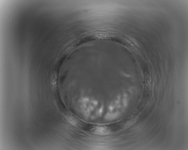 X0000071760507200607150006