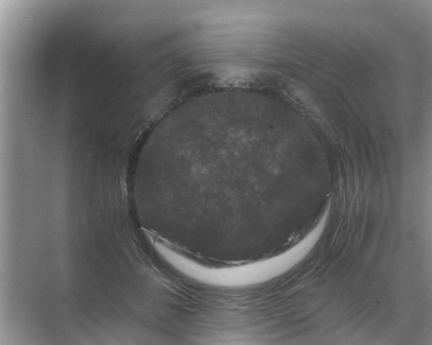 X0000071760508200607150006