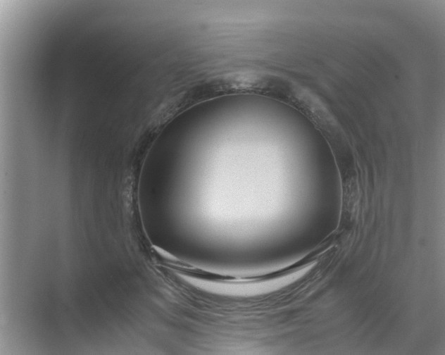 X0000071760509200607150006