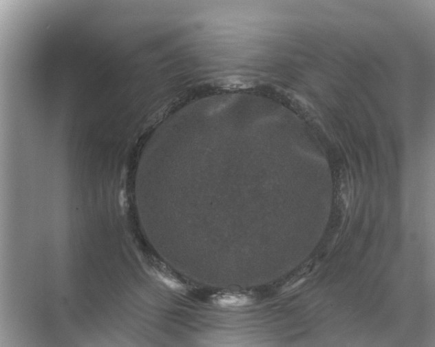 X0000071760512200607150006