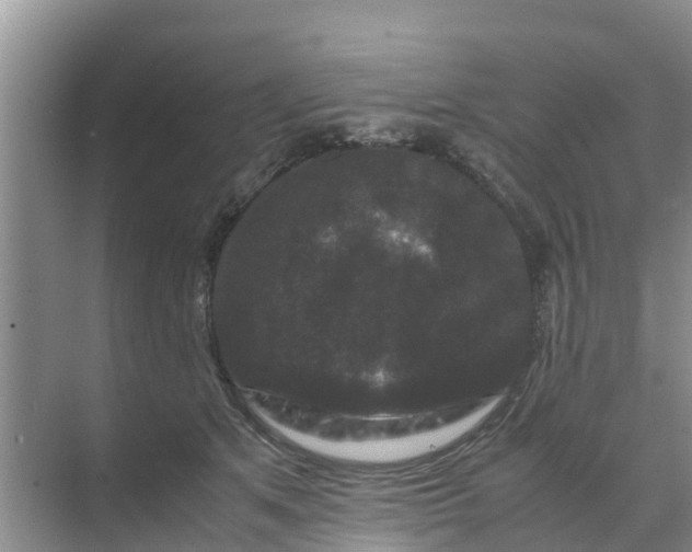 X0000071760513200607150006