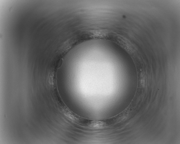 X0000071760514200607150006