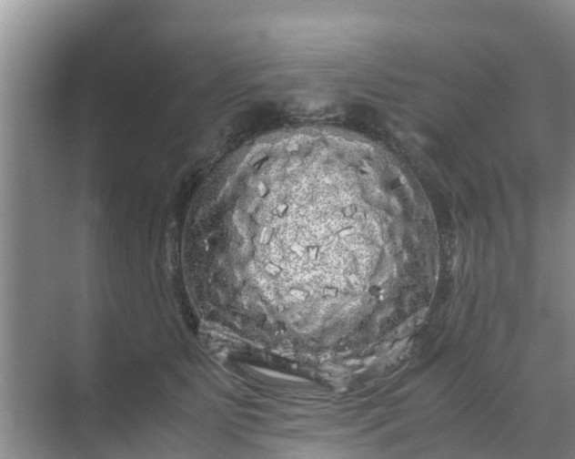 X0000071760515200607150006