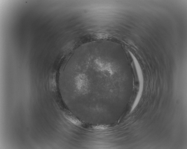 X0000071760516200607150006