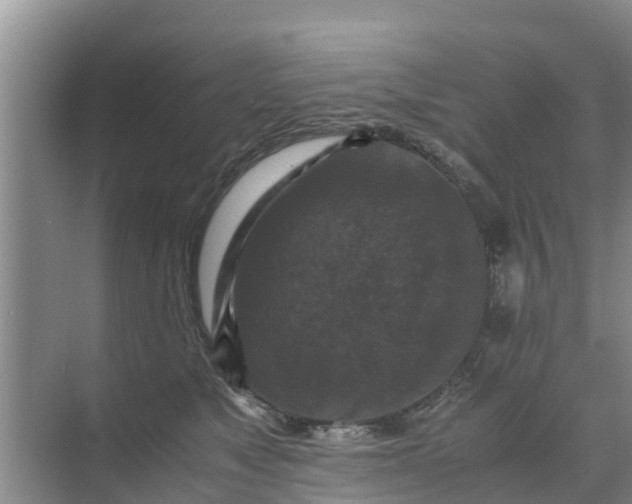 X0000071760517200607150006