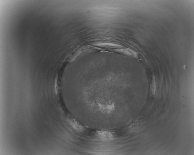 X0000071760520200607150006