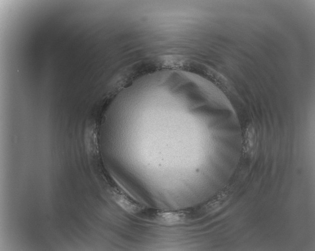 X0000071760522200607150005