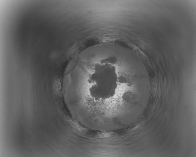 X0000071760523200607150005