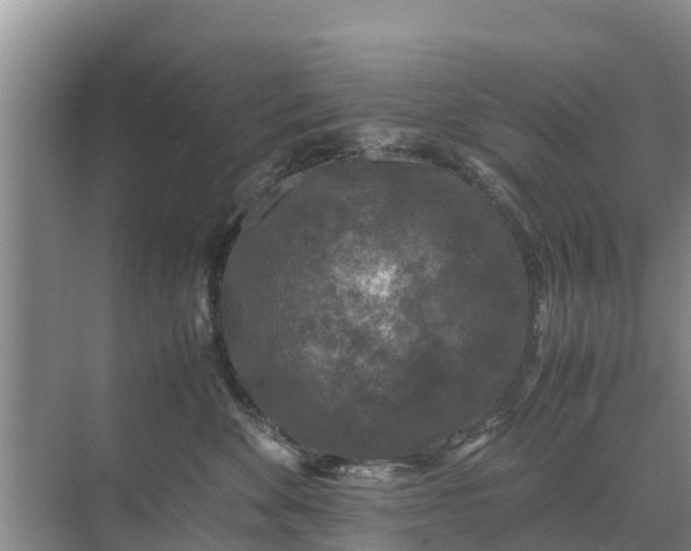 X0000071760524200607150005