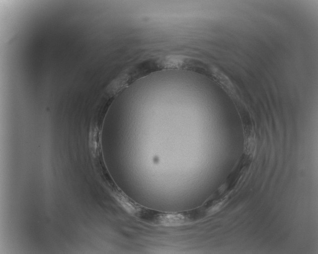 X0000071760525200607150005