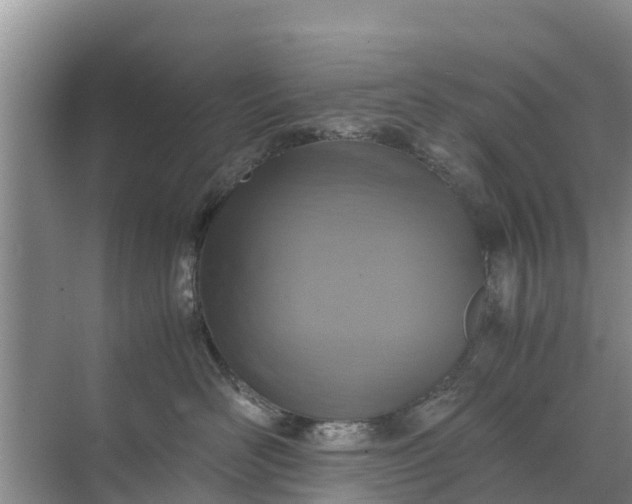 X0000071760526200607150005