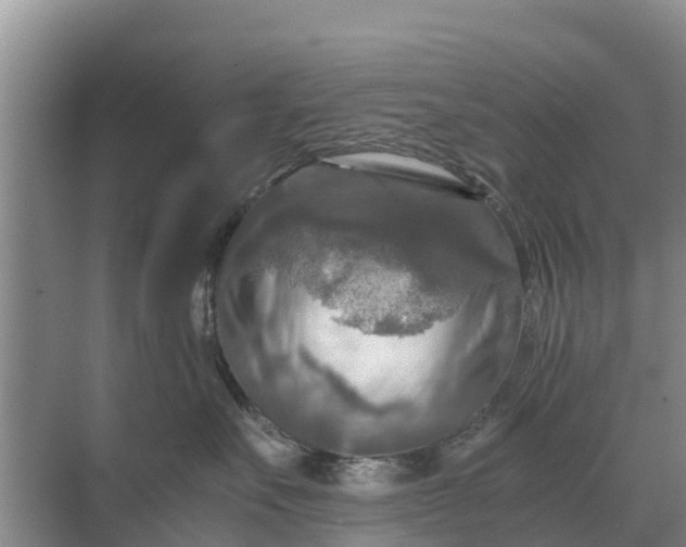 X0000071760527200607150005