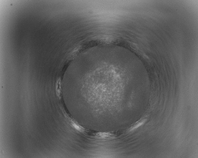 X0000071760528200607150005