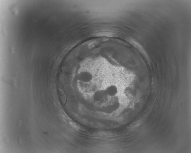 X0000071760529200607150005