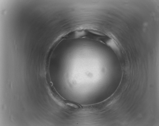 X0000071760530200607150005