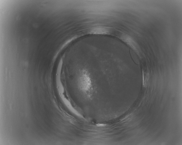 X0000071760531200607150005