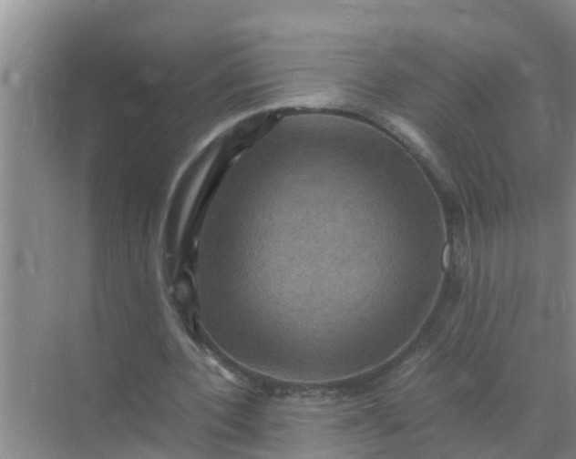 X0000071760532200607150005