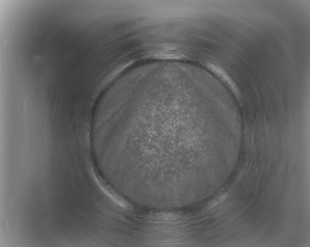 X0000071760533200607150005