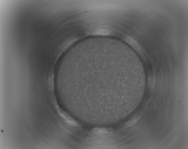 X0000071760534200607150005