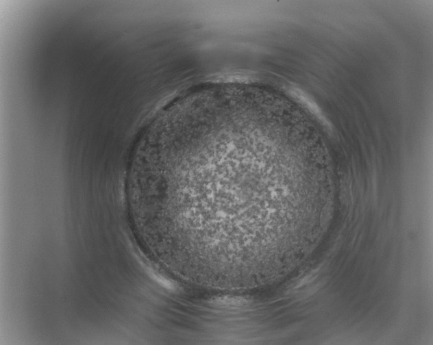 X0000071760537200607150005