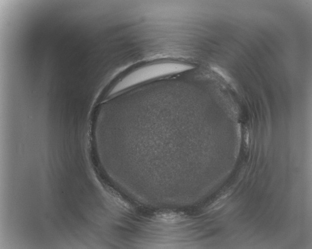 X0000071760540200607150005