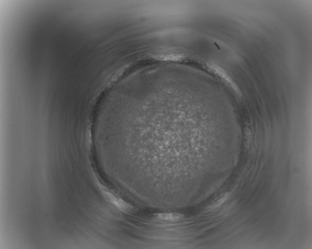 X0000071760541200607150005